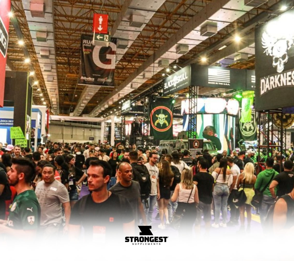 arnold-south-america-2024